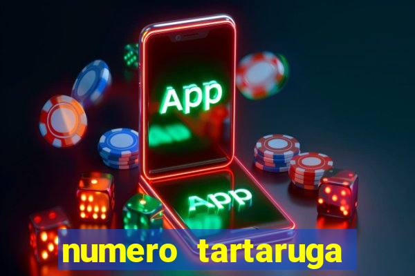 numero tartaruga jogo do bicho